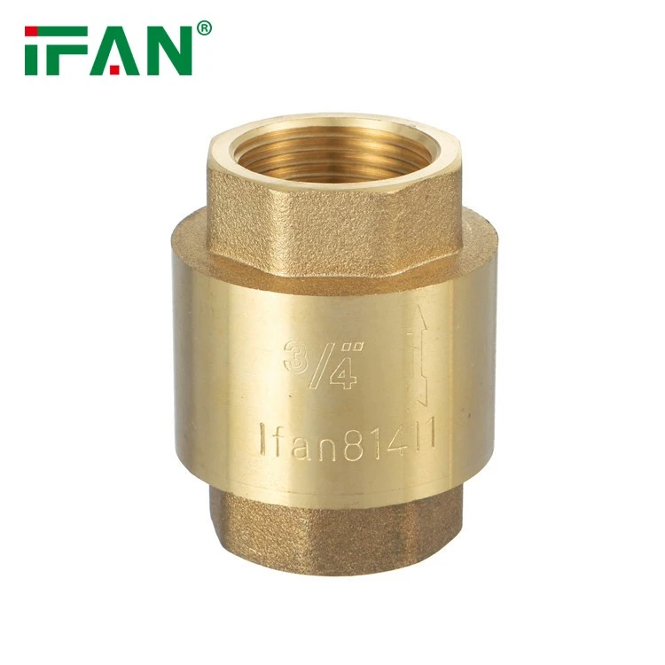 Brass Check Valve (1)