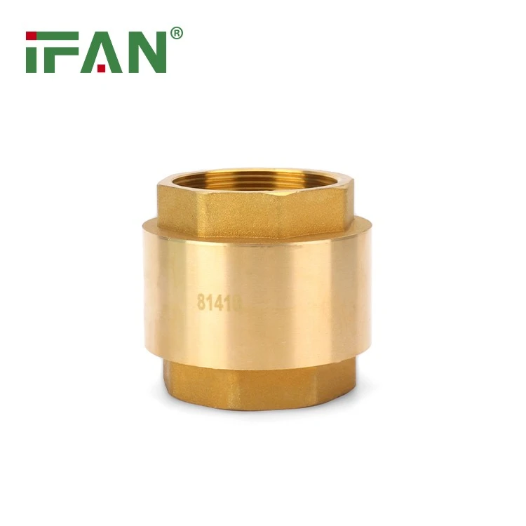 Brass Check Valve (3)